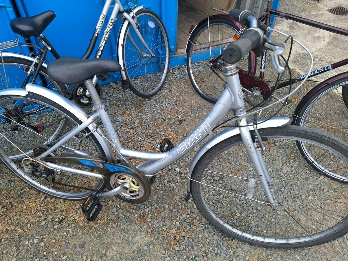 Bikes fifty euro each - Image 2