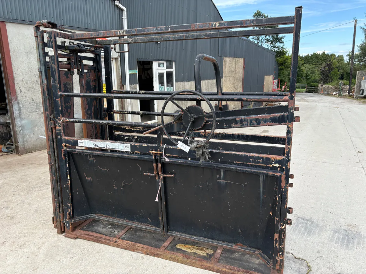 Cattle crush - Image 1