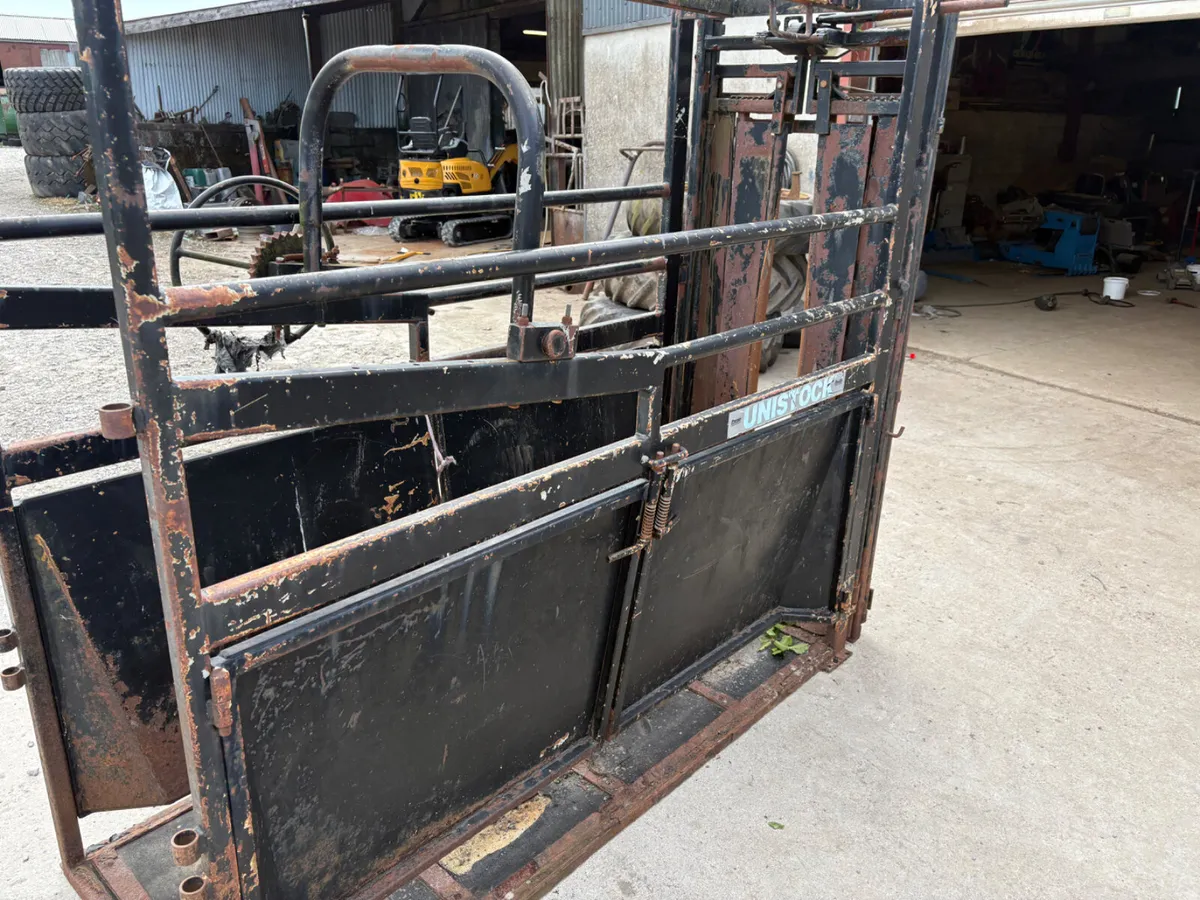 Cattle crush - Image 3