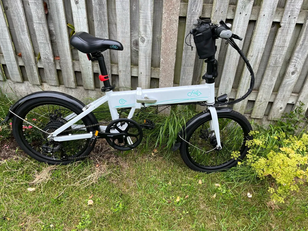 FIIDO D4S Electric Bike - Image 1