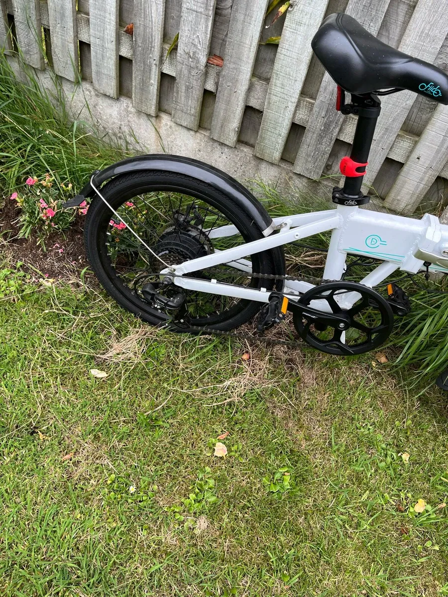 FIIDO D4S Electric Bike - Image 2
