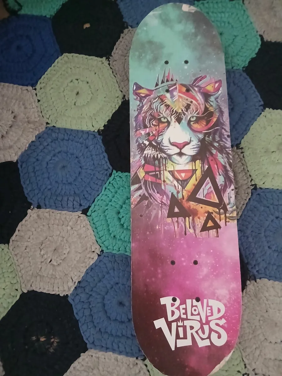 Semi- Used Skateboard - Image 1