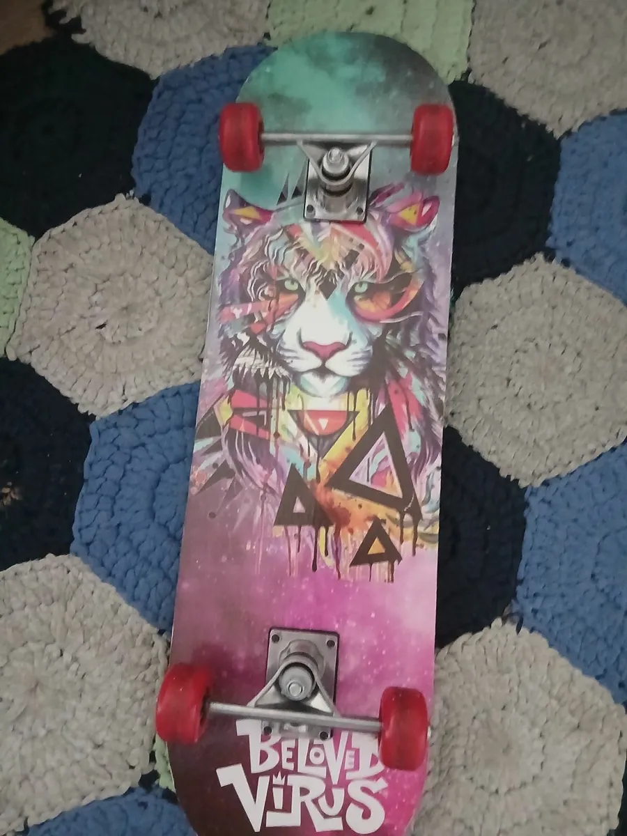 Semi- Used Skateboard - Image 2