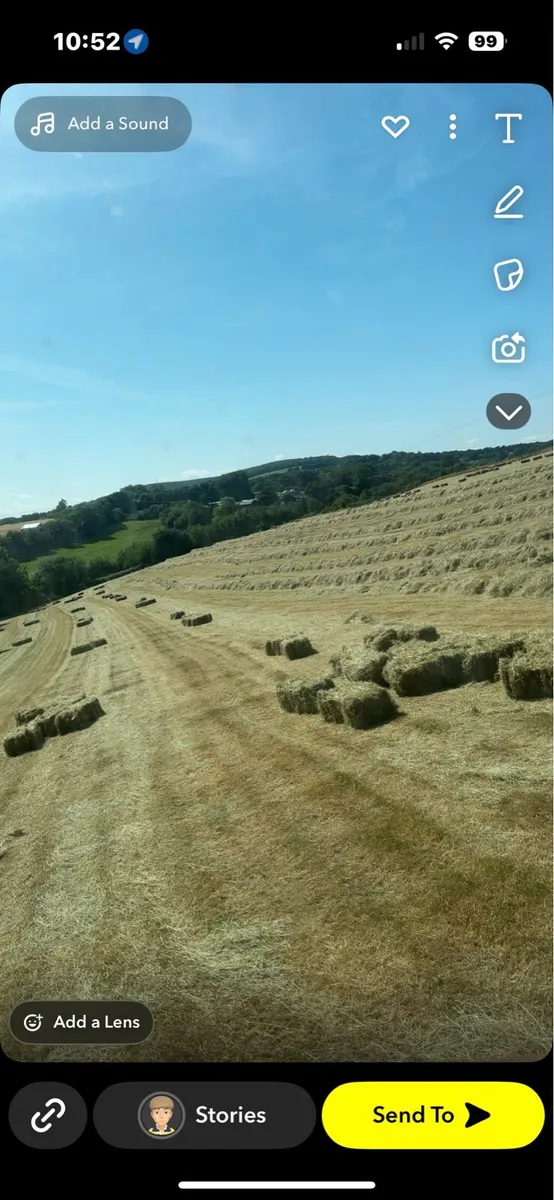 Square/Round bales of hay - Image 1