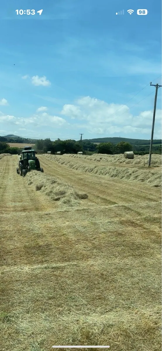 Square/Round bales of hay - Image 2