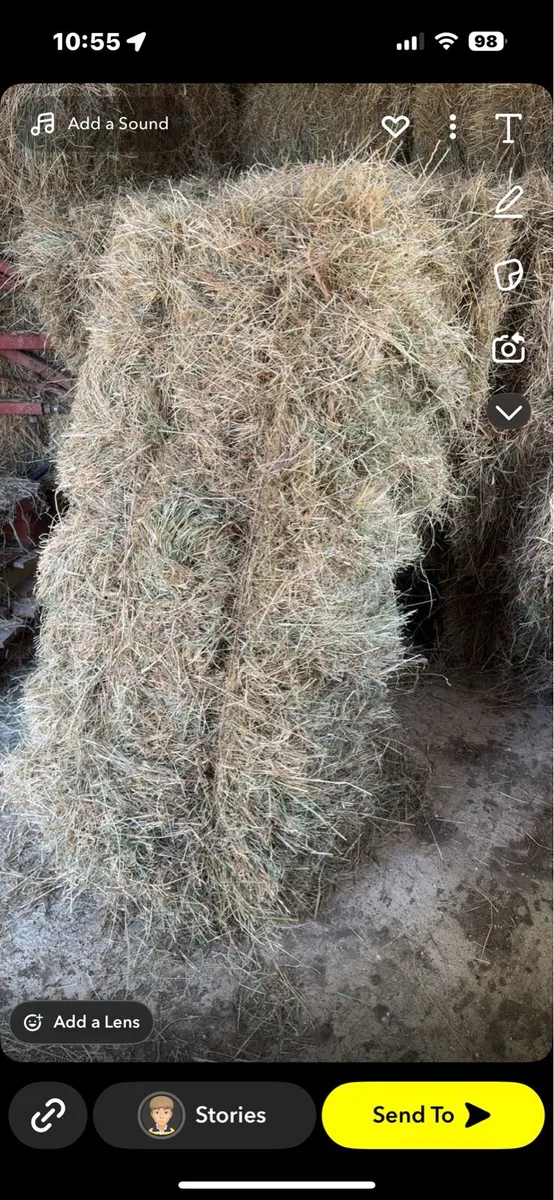 Square/Round bales of hay - Image 3