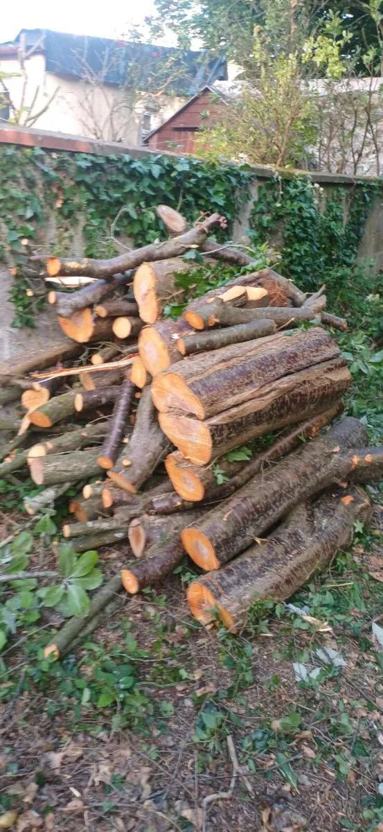 Fire Wood "Free to take away"