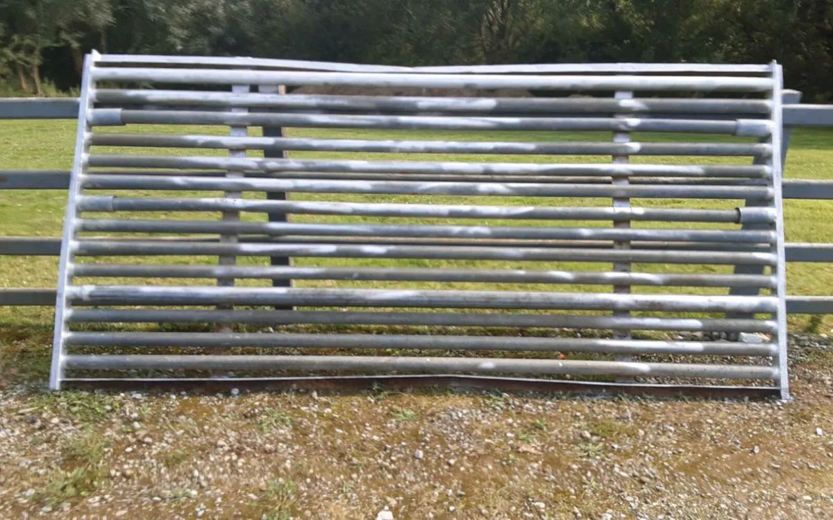 Cattle grid - Image 2