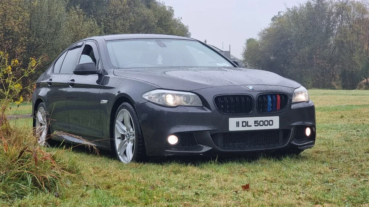 BLW 520 M sport - Image 1