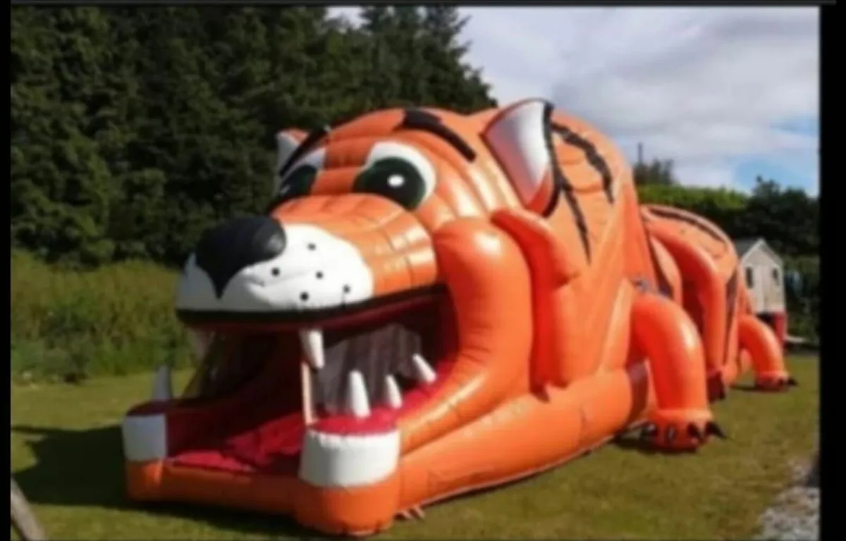 Bouncy Castle assault course - Image 1