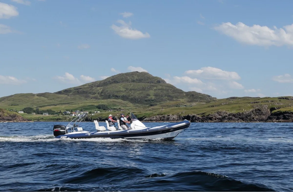 9M RIB - Image 1