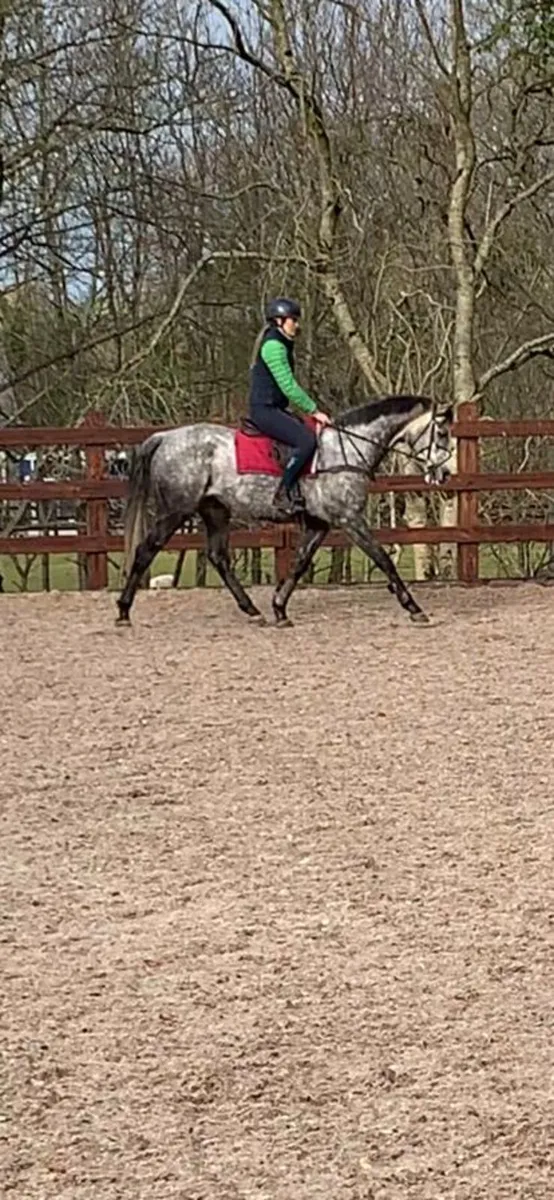 Ideal Hack/Mother Daughter Share - Image 1
