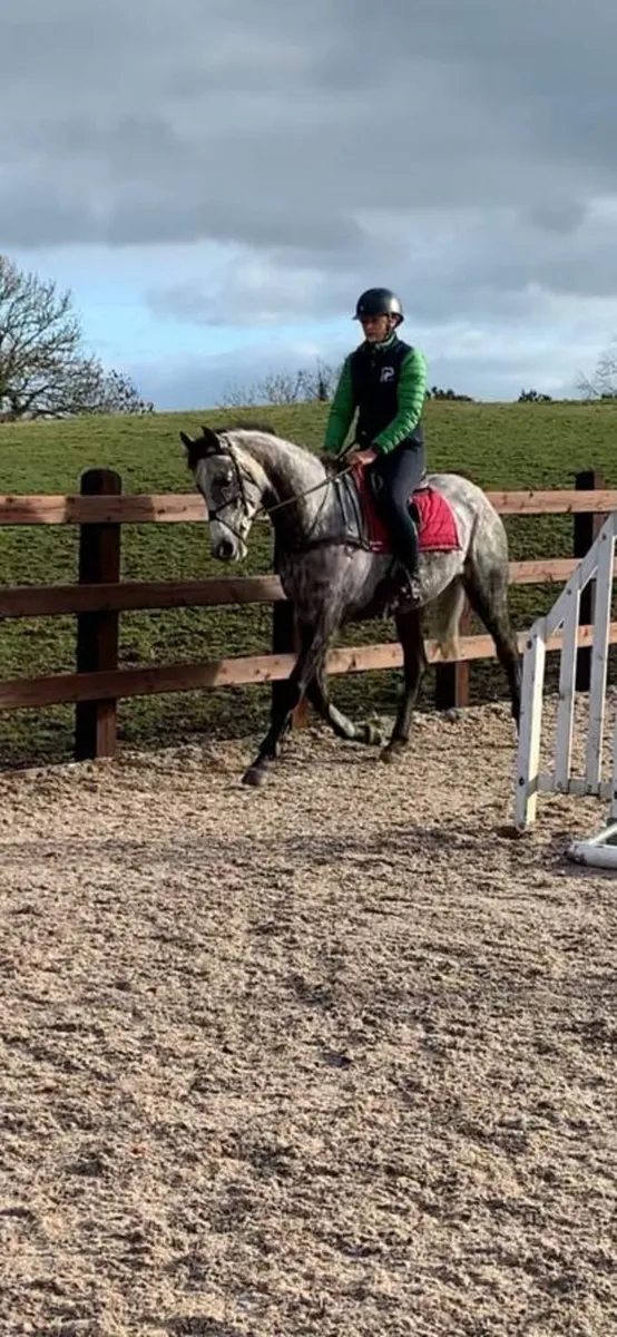 Ideal Hack/Mother Daughter Share - Image 2