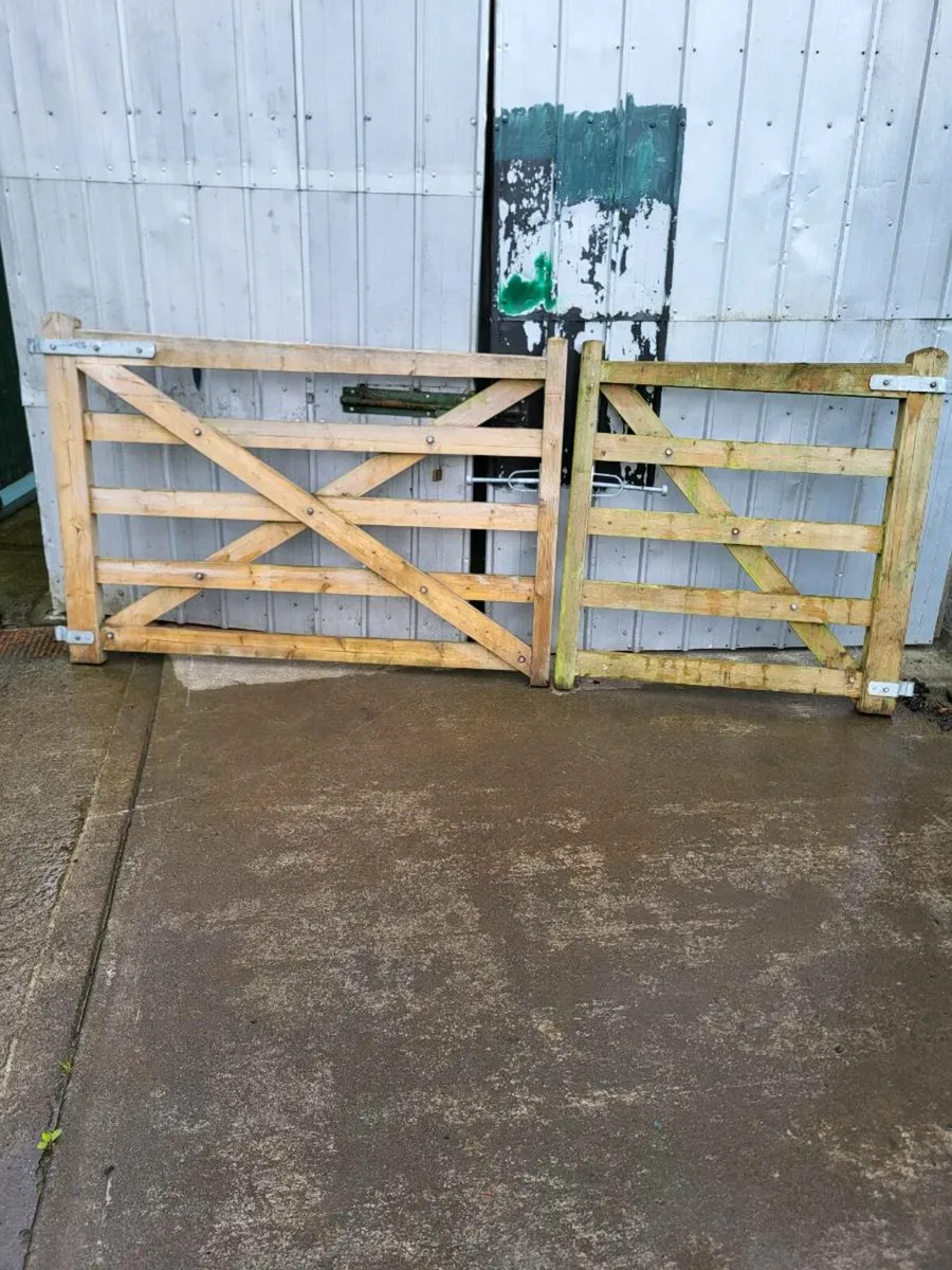 6 ft gate and 4 ft gate for sale - Image 1