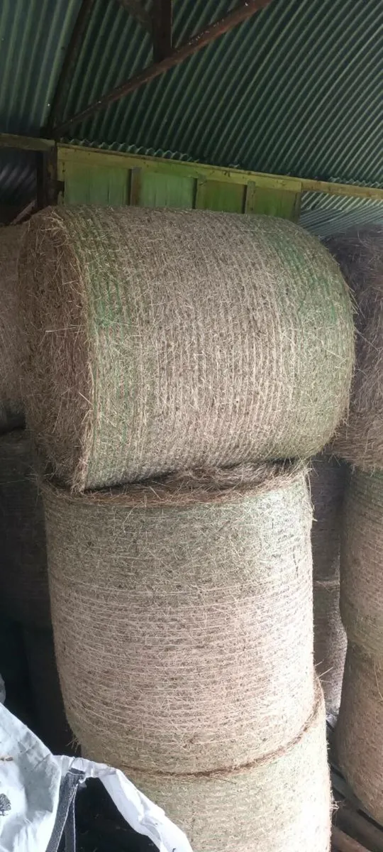 Organic hay