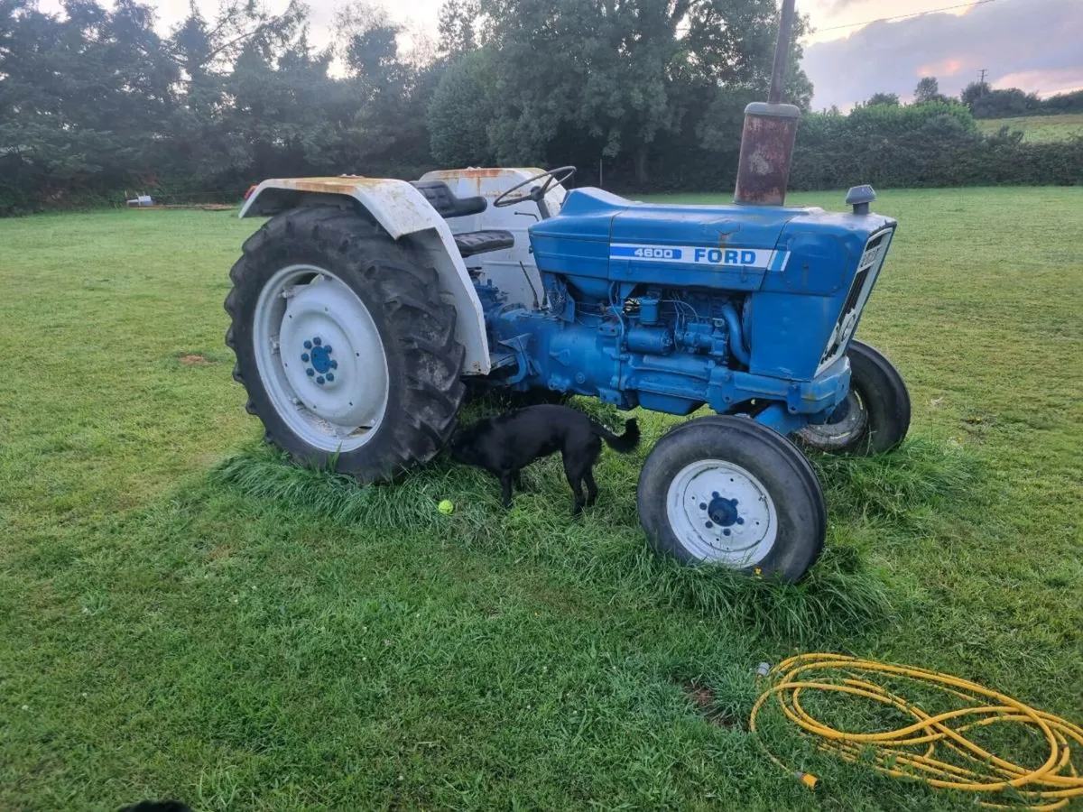 Ford 4600 - Image 1
