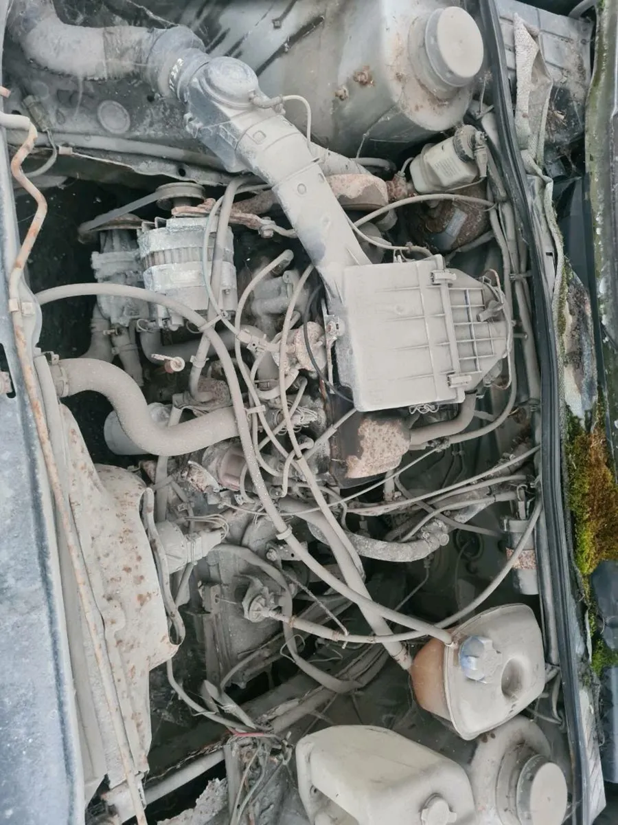 Volkswagen  golf mk2 - Image 4