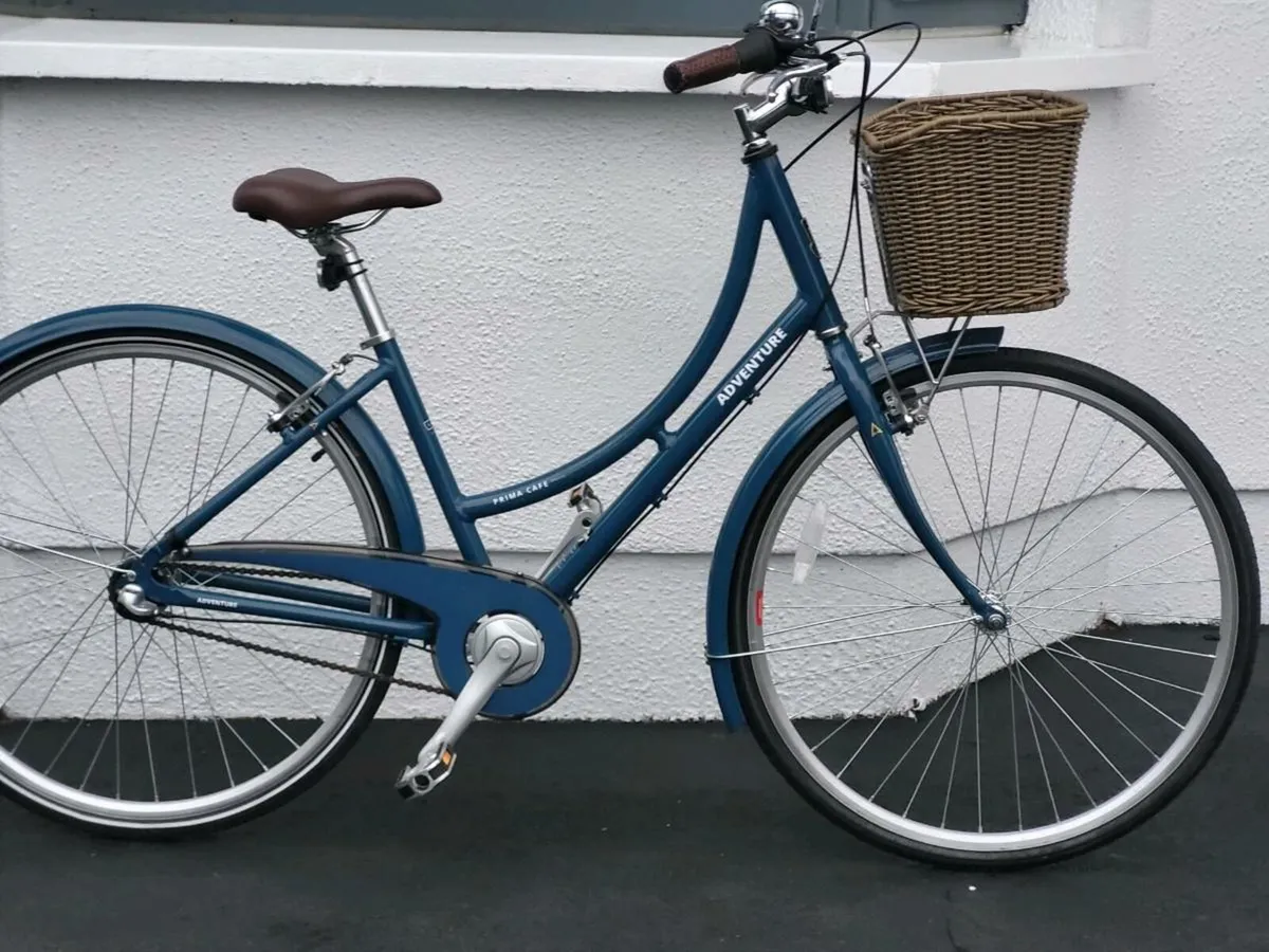 LADIES BIKE N.BASKET LITERALLY BRAND NEW - Image 1
