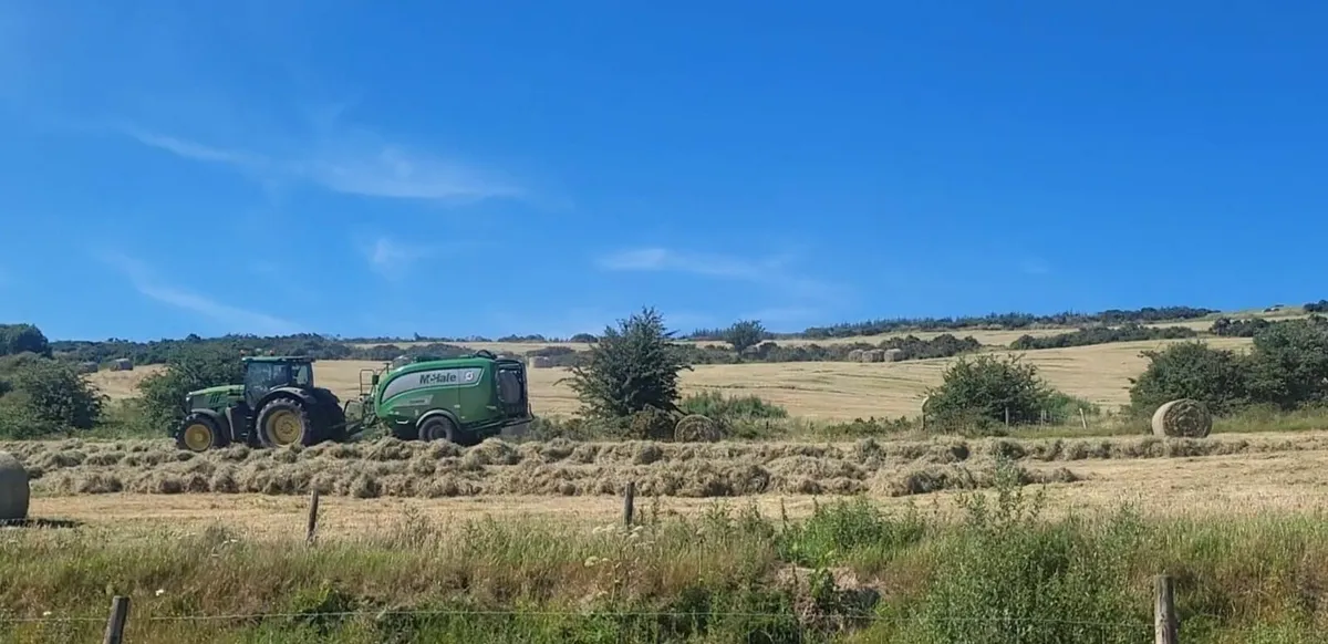 Hay bales - Image 2
