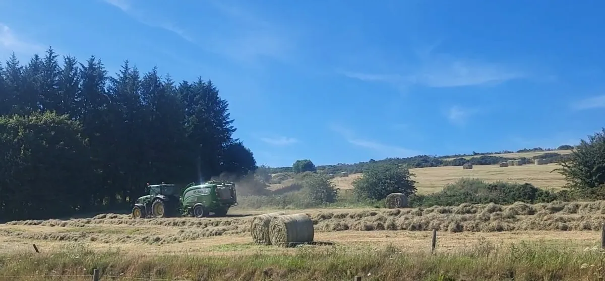 Hay bales - Image 1