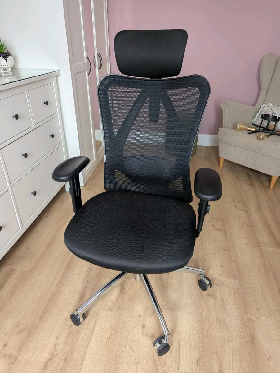 Sihoo M57 Chair - Image 1