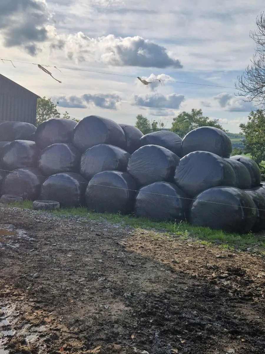 Silage
