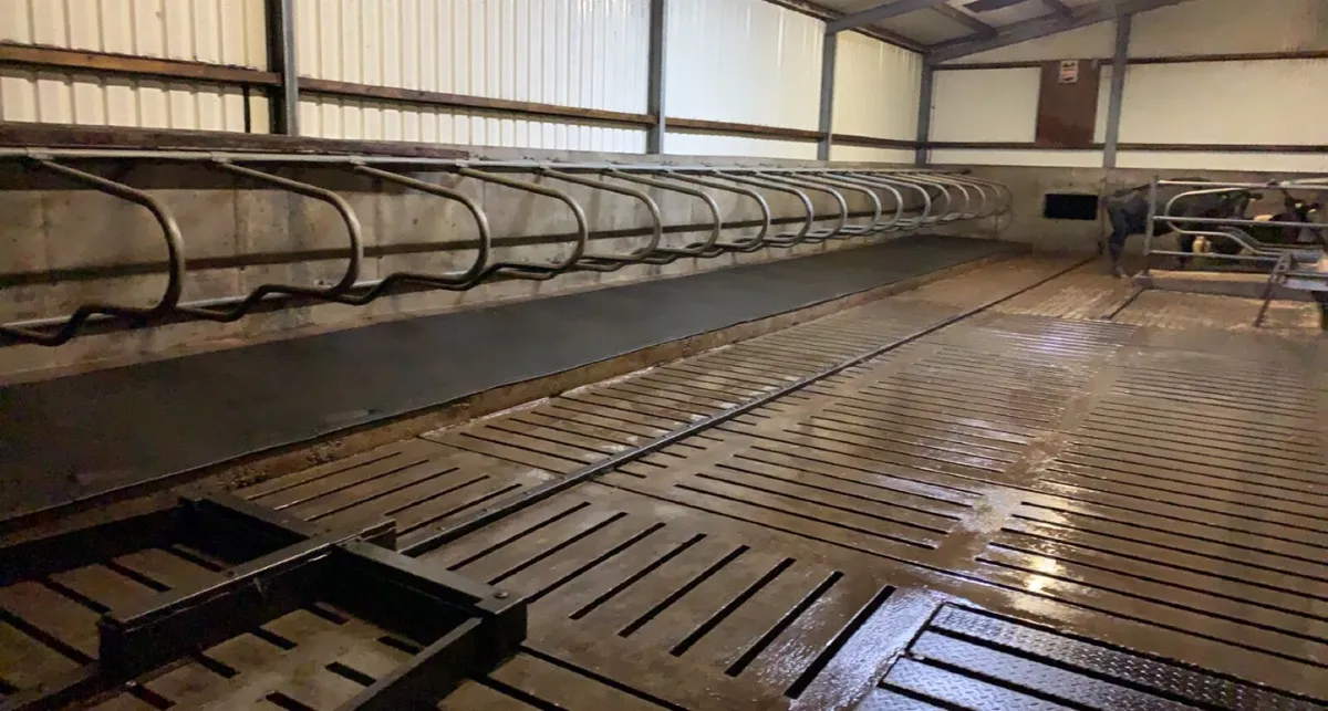 Power washing services - Image 2