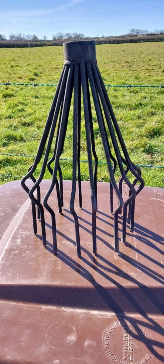 Bird guard chimney