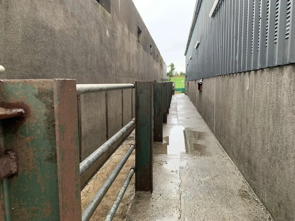 Power washing services - Image 4