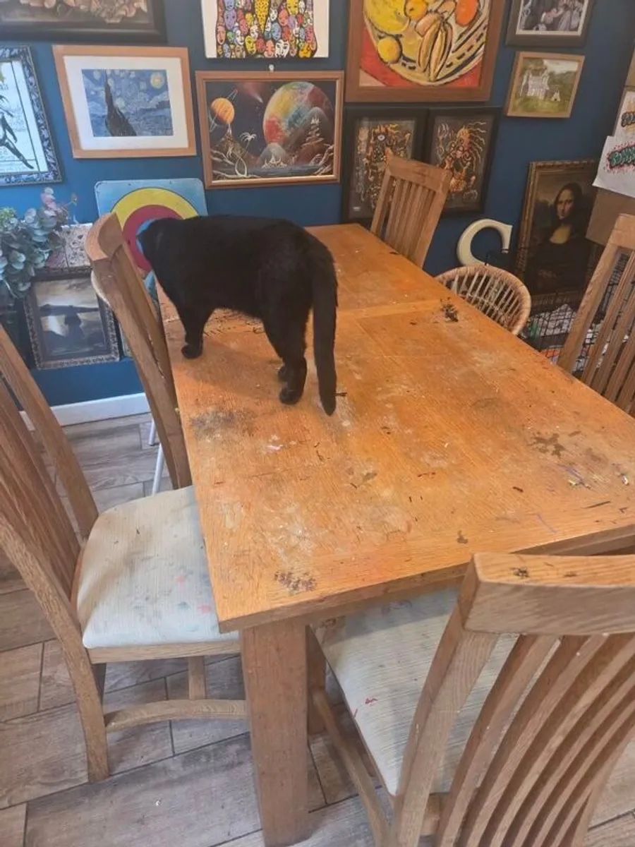 table and 6 chairs - Image 1