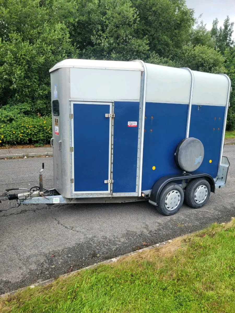 2007 ifor Williams horse box 505 - Image 3
