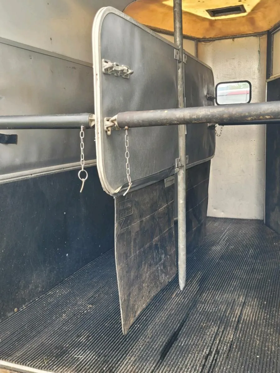 2007 ifor Williams horse box 505 - Image 4