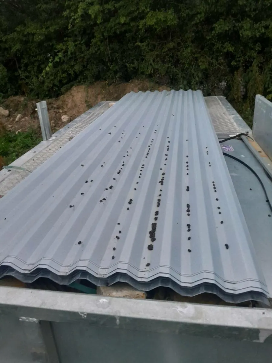 Box profile cladden sheeting size 10ft 12ft - Image 4