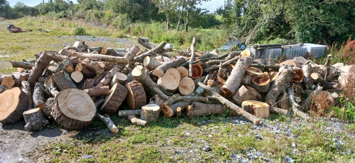 Firewood  for sale truck Loads can be delivered - Image 1