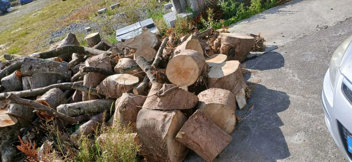 Firewood  for sale truck Loads can be delivered - Image 2