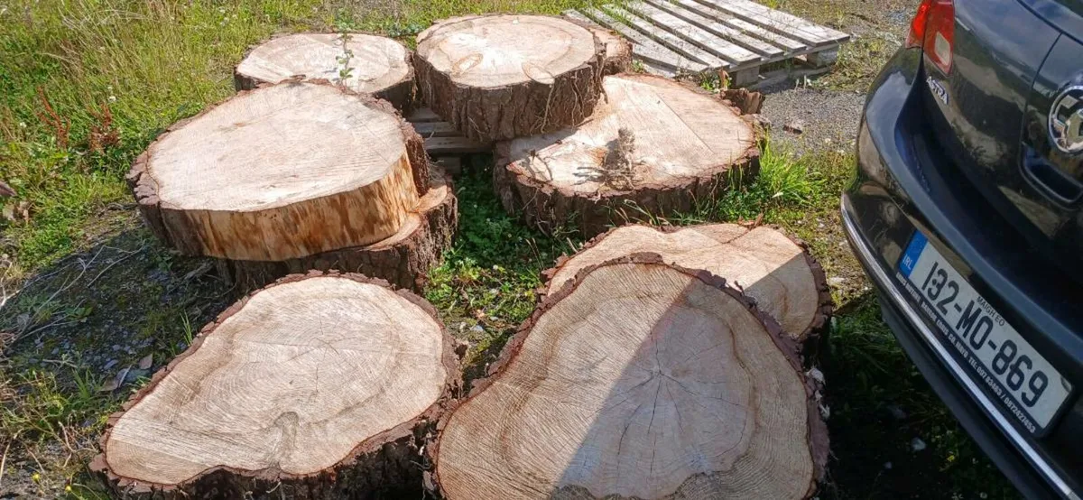 Firewood  for sale truck Loads can be delivered - Image 3