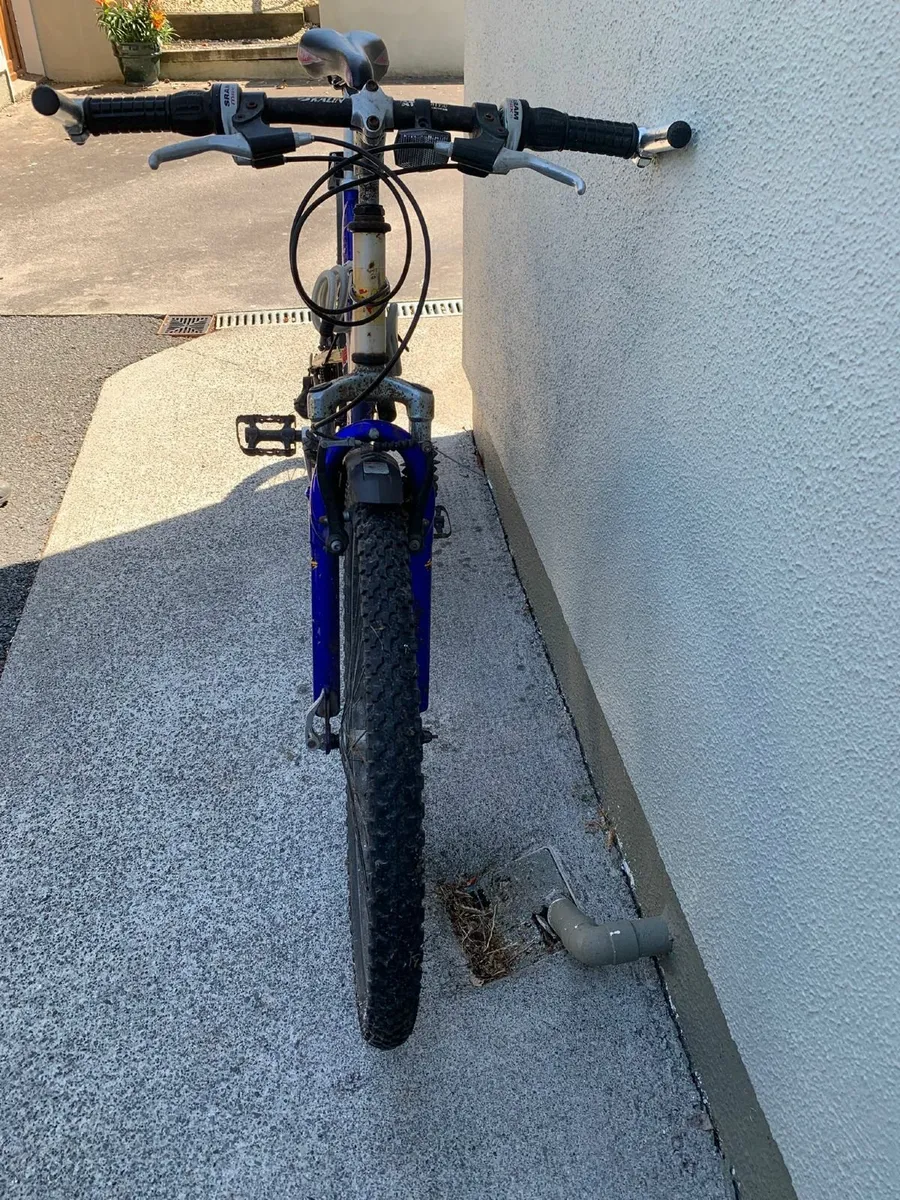 Bicycle - Image 2