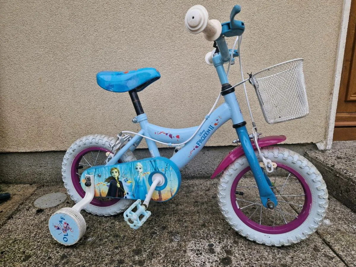 Frozen bike - Image 1