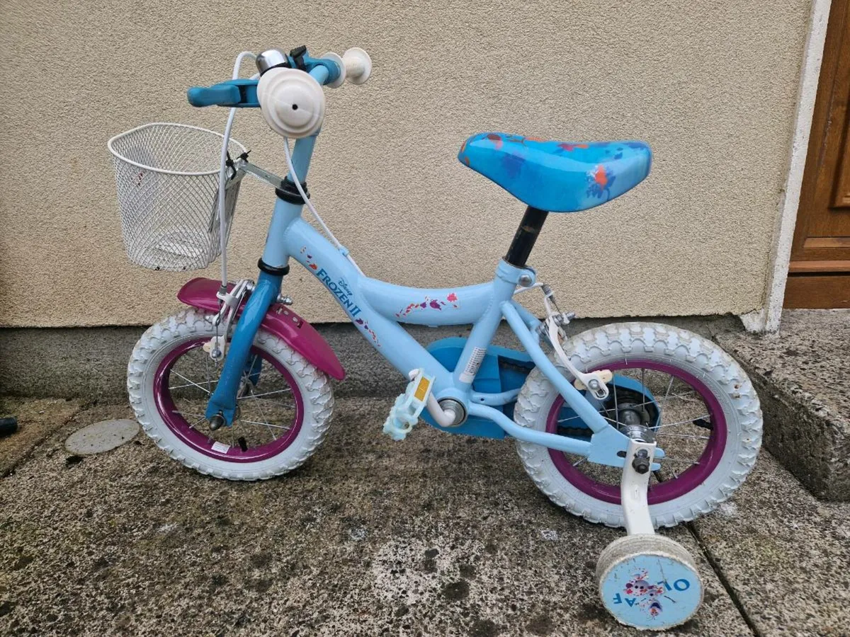 Frozen bike - Image 2