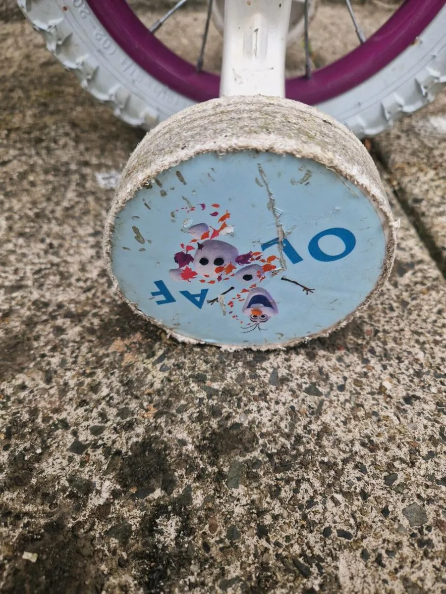 Frozen bike - Image 4