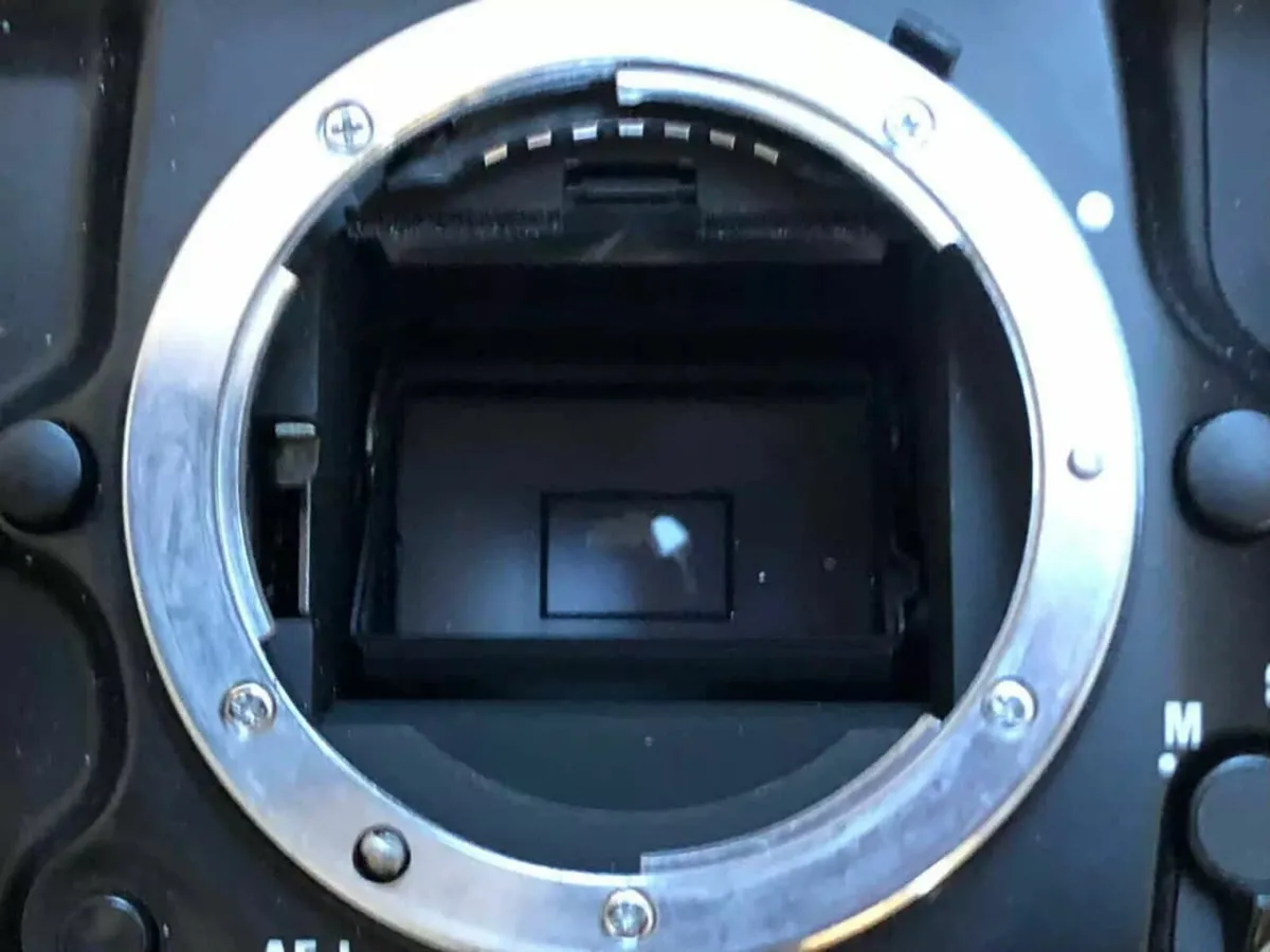 Kodak DCS 420 - Image 2
