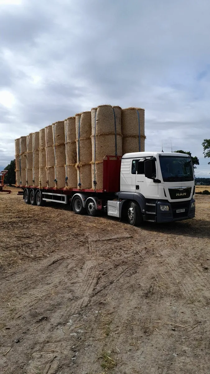Barley straw