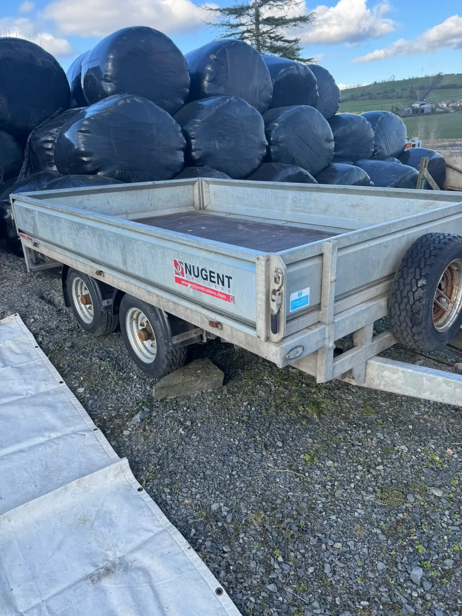 Nugent - Image 1