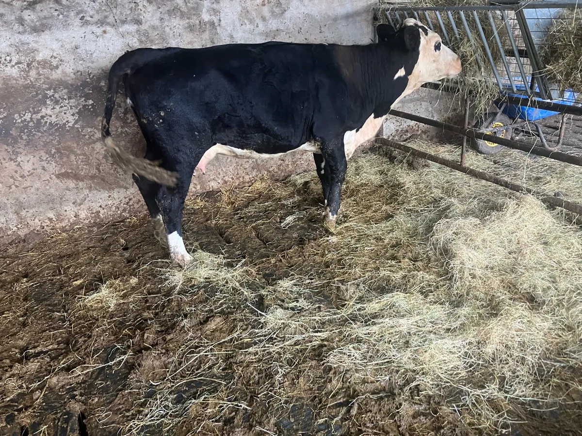 Farming - Image 1