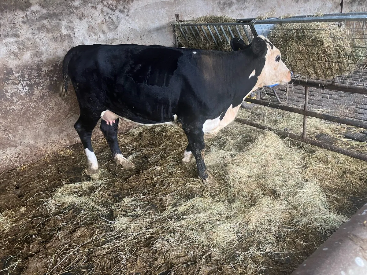 Farming - Image 2