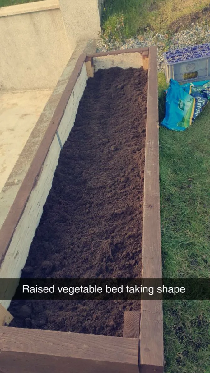 Timber raised beds for sale - Image 2