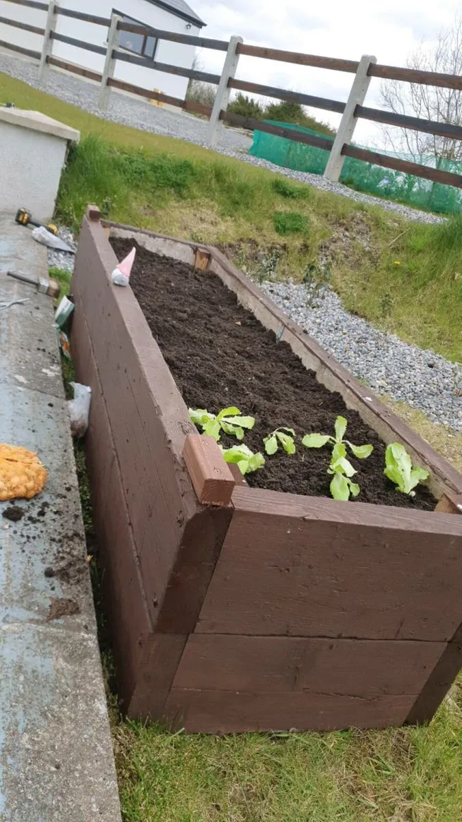 Timber raised beds for sale - Image 1