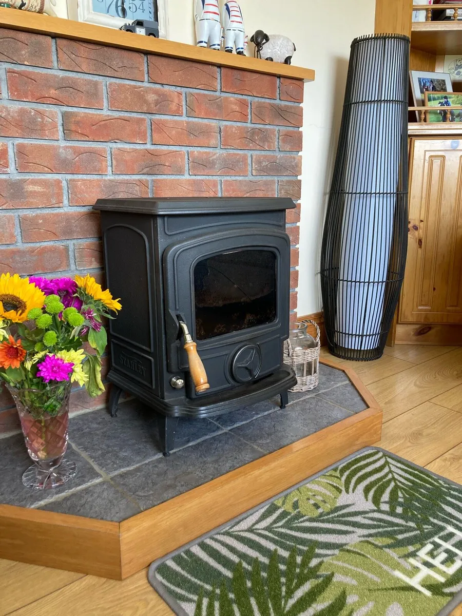 Oisin Eco solid fuel stove - Image 1