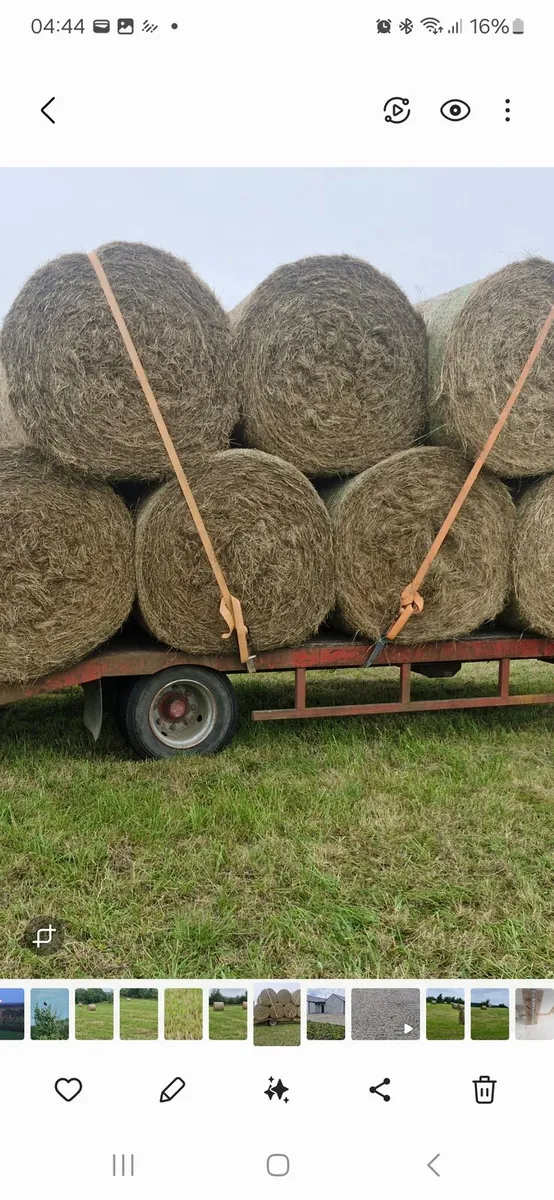 Hay - Image 4