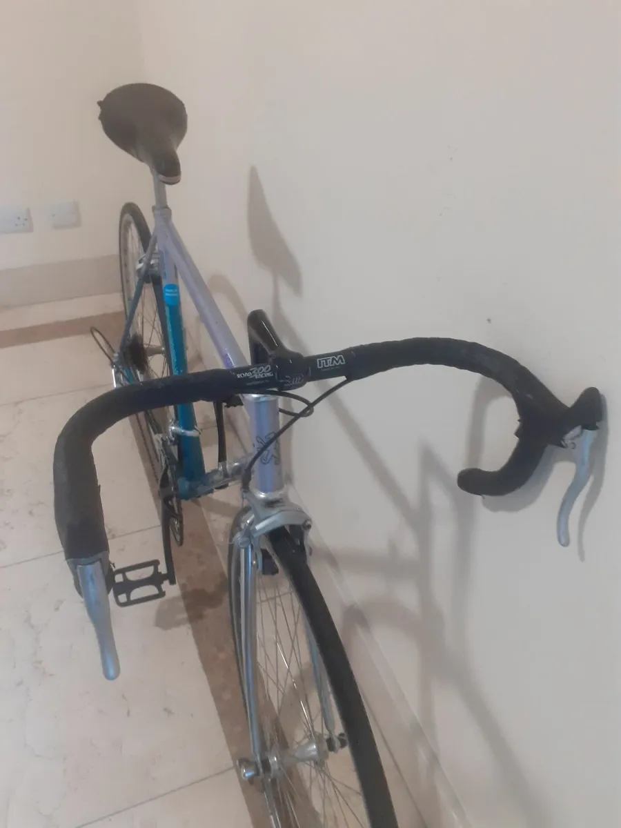 Peugeot Aspin racer - Image 2
